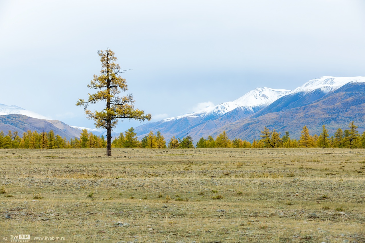 Akturu (Актуру)